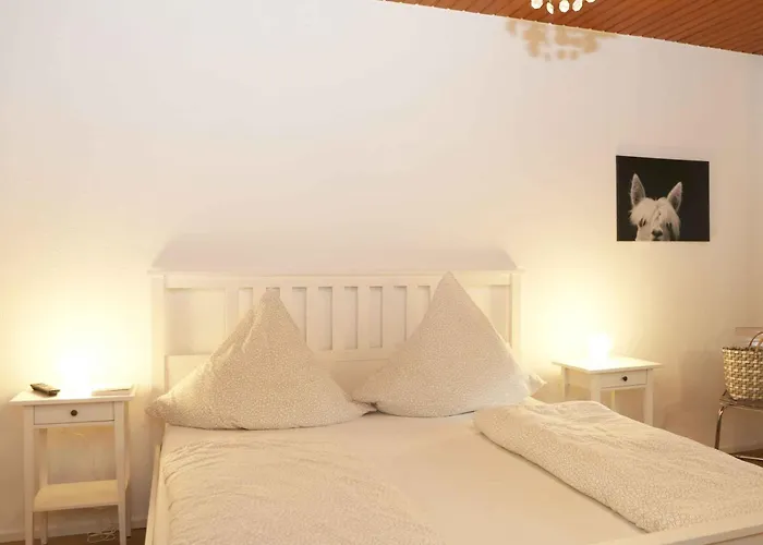 公寓 Wrede Am Sauerland-radring 埃斯洛黑